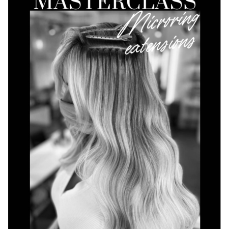 Masterclass ticket – Microring extensions